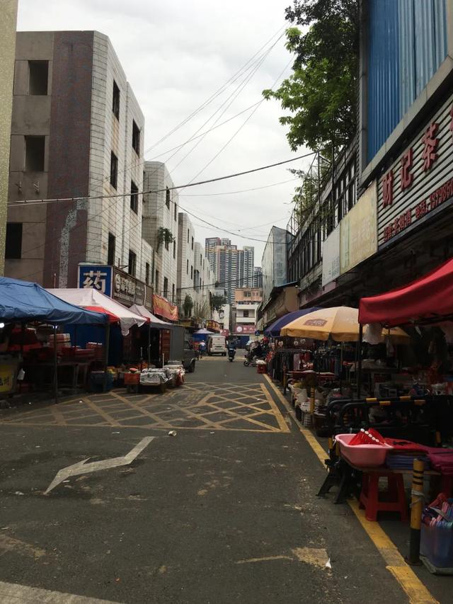 丽江坪山电子城幼小路