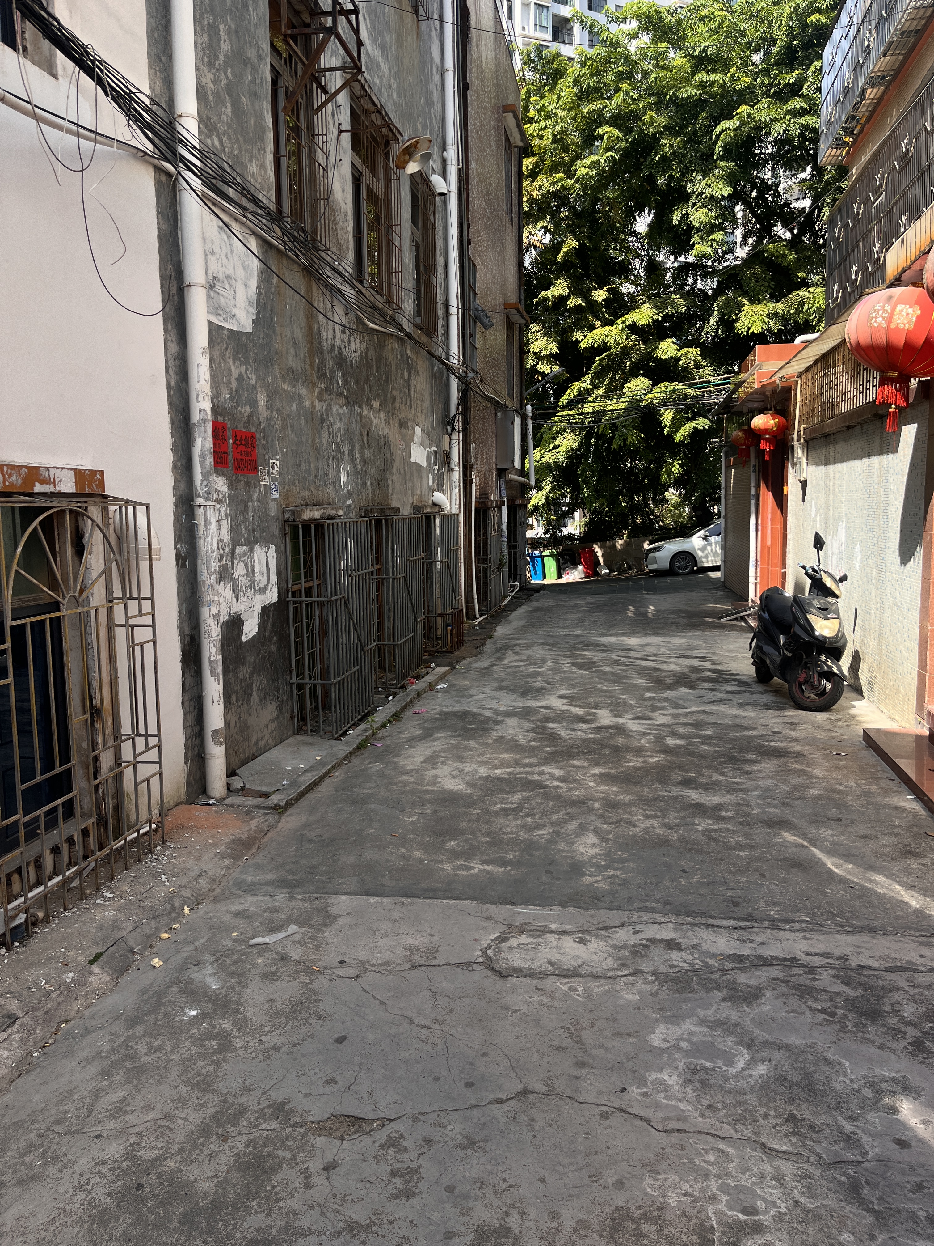 惠东平山幼小路50