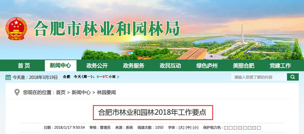 岳阳不正规的服务哪家好