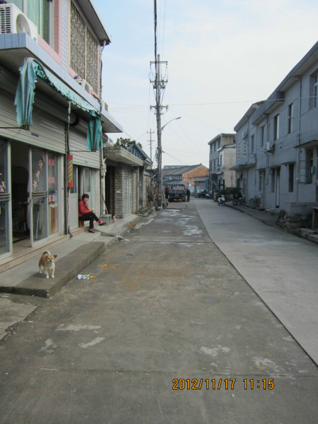 奉化哪个镇有幼小路