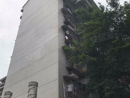 沉庆观音桥幼苑路女