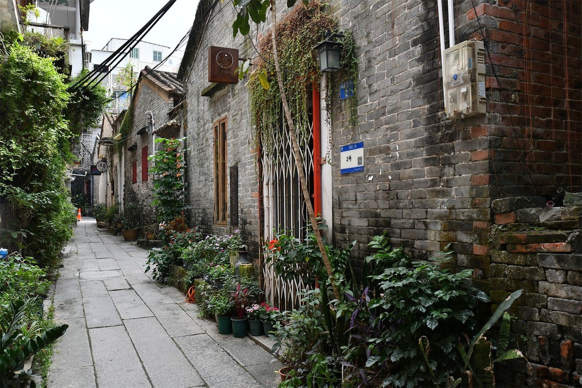 红联渡口村幼小路最新新闻