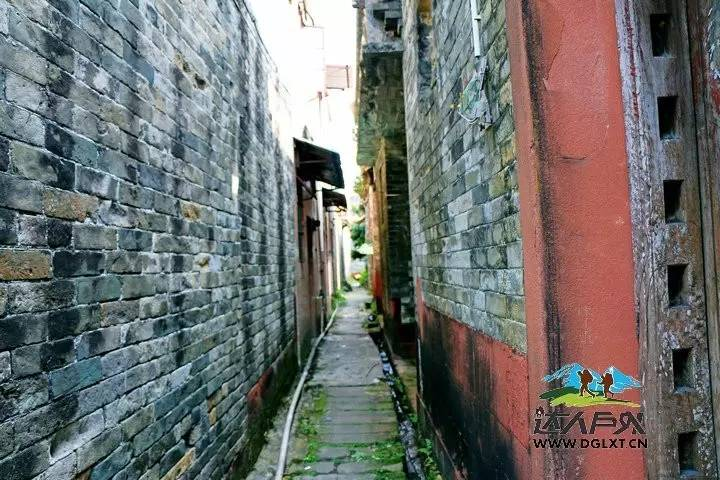 汉中寮步石龙150幼小路在哪