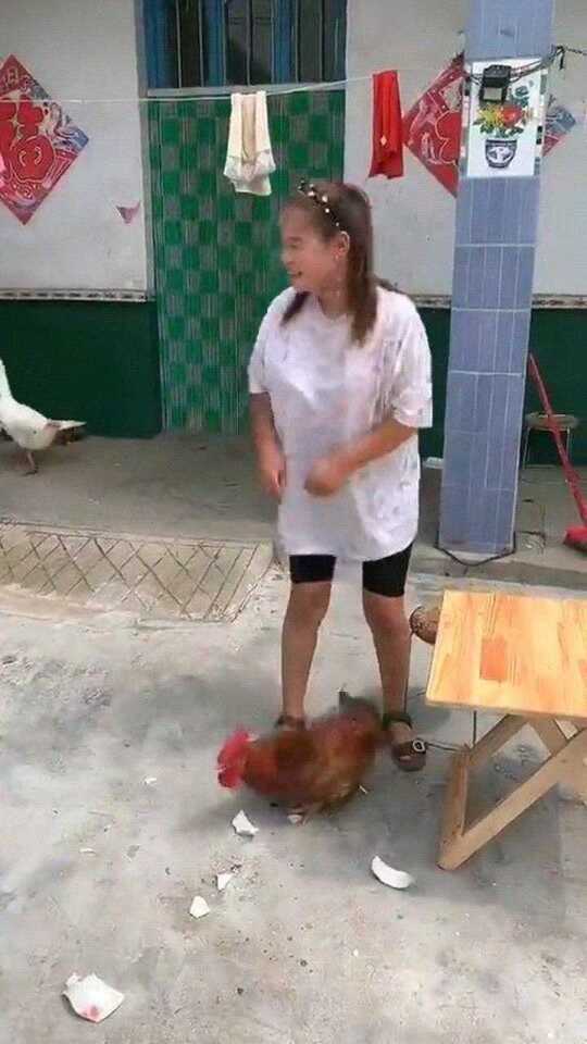 汉中鸡婆