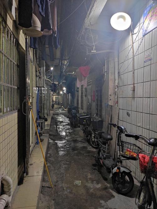 松岗的幼小路