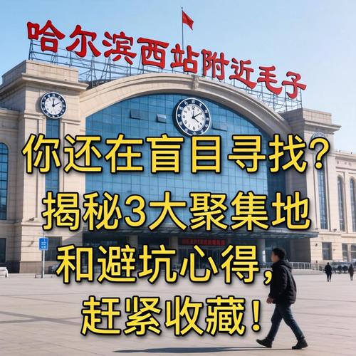 哈尔滨哪里能够找毛子