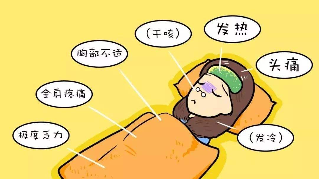 一条龙和大保健有什么区别