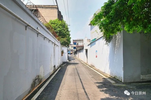 2026成都崇州卖婬幼巷在哪里