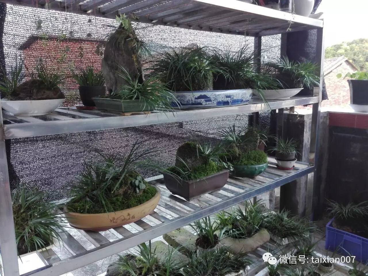 广东蒲友