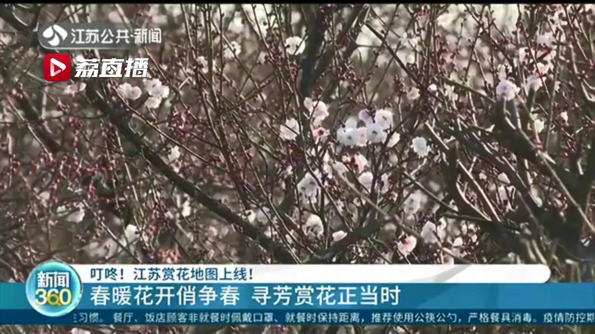 寻花唐人阁江苏论坛
