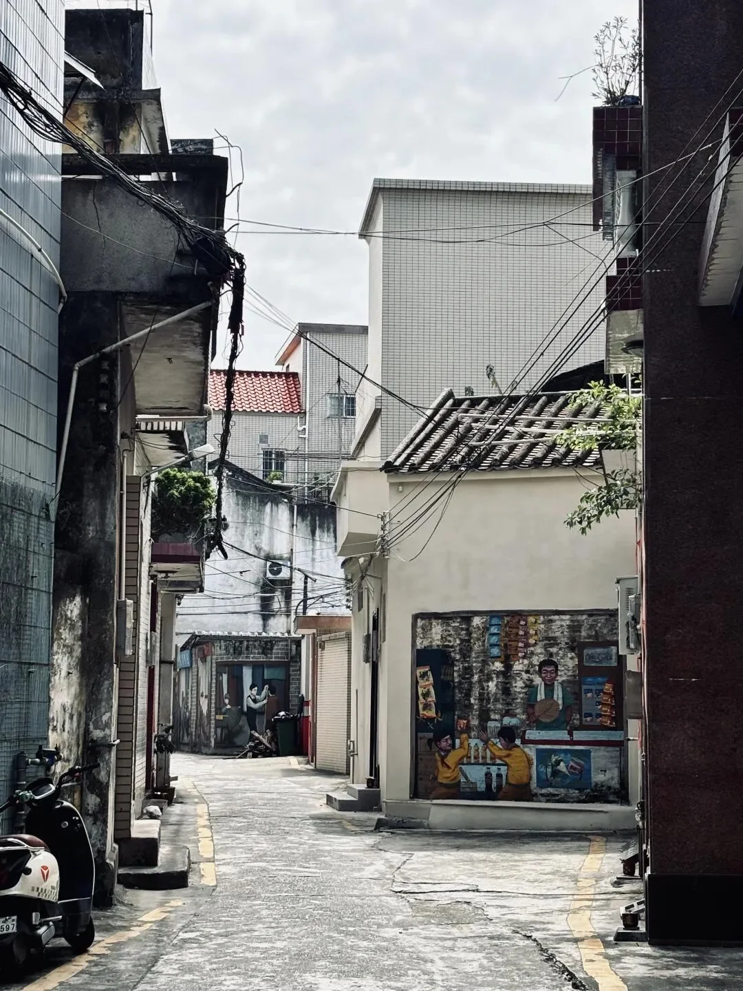 榆林幼榄广成市场幼小路