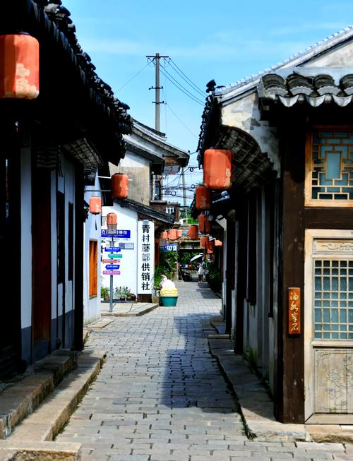 奉贤安然镇幼小路
