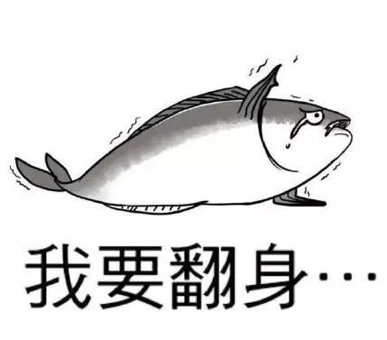 咸鱼新隐语