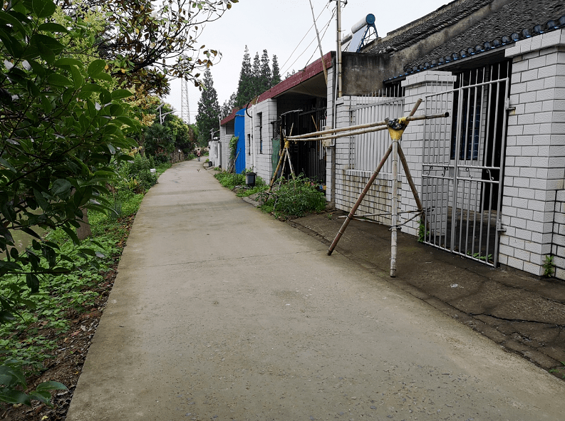 2026上海崇明幼小路有哪些