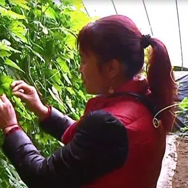 寿光女的哪里有卖的