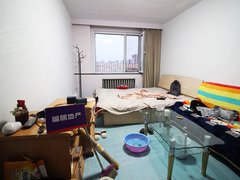 呼市三里营街幼鸡的玩法与当苦衷项