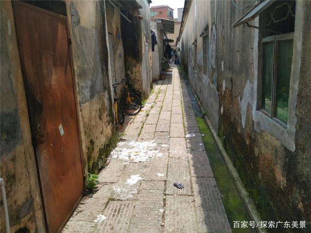 凤岗镇最近的恋爱小巷子