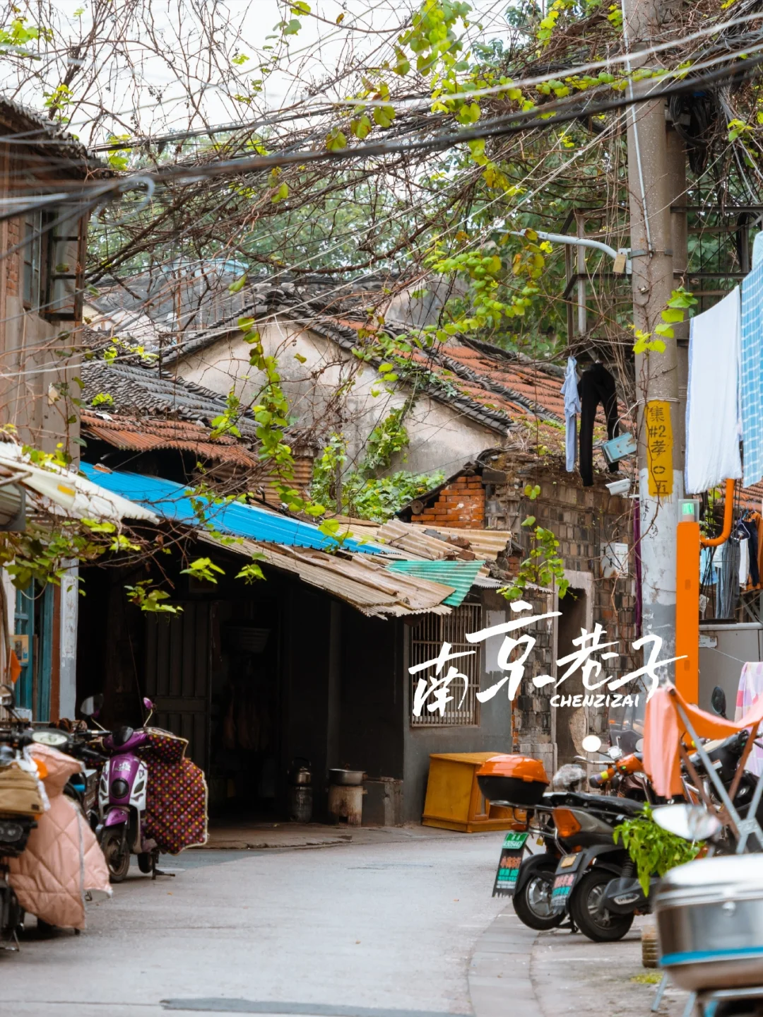 漯河油坊桥还有站幼小路