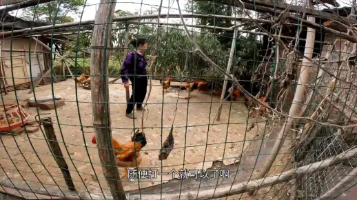二仙桥鸡窝搬到那里去了