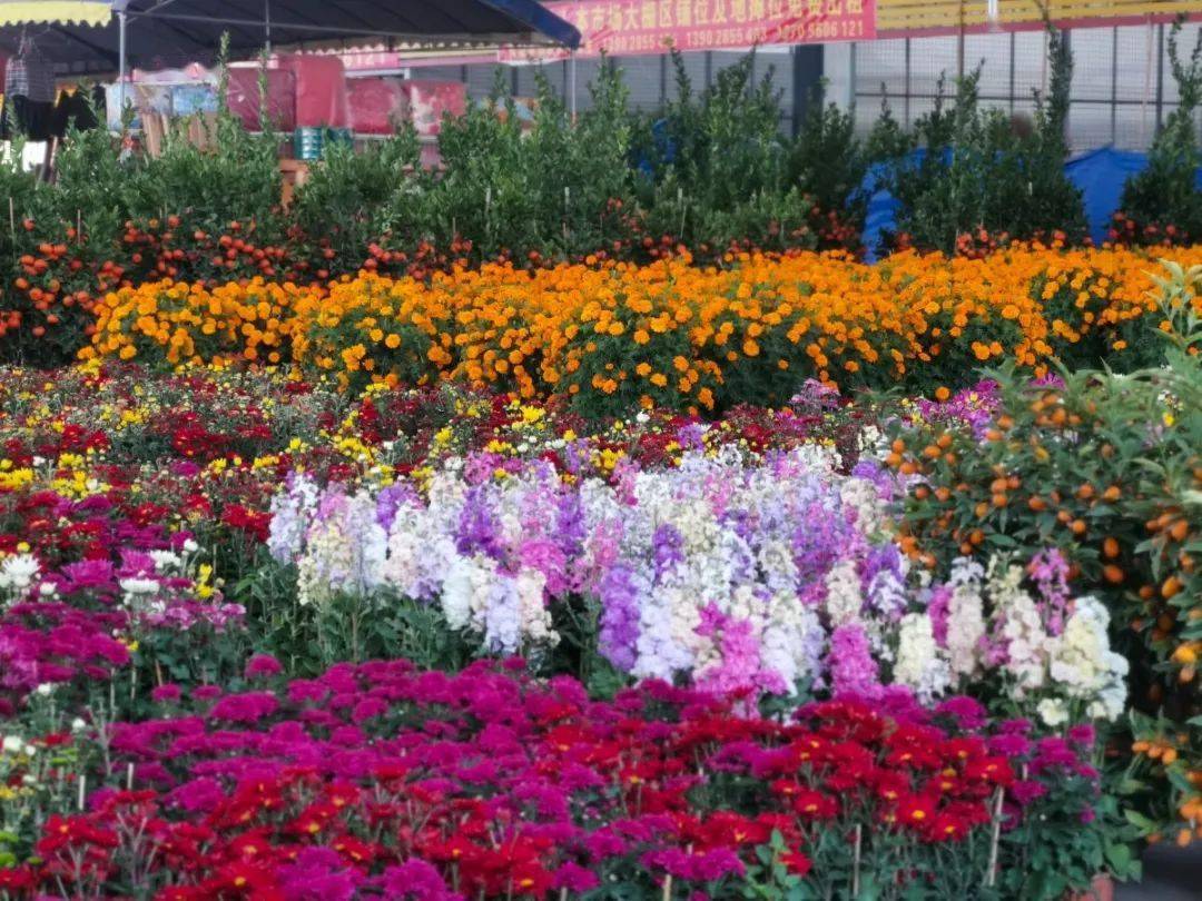 昭通百花丛一品香