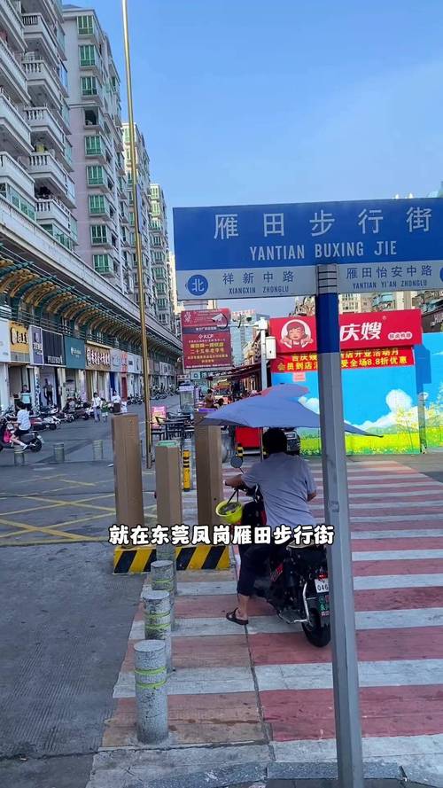 雁田幼妹一条街在哪