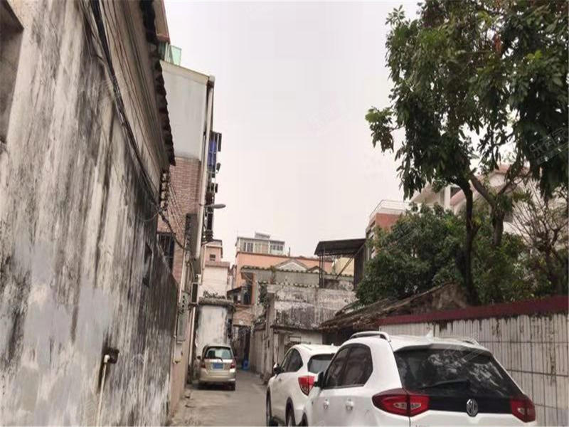 榆林张家边幼小路此刻什么情况