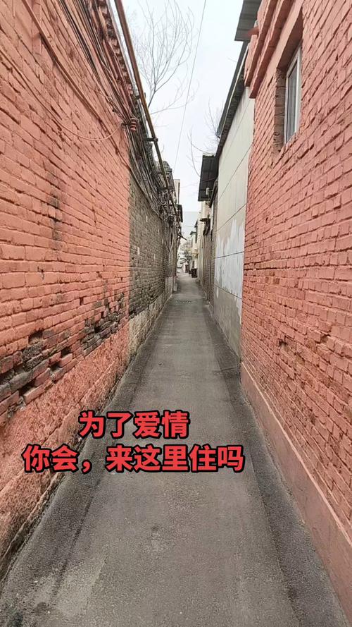 金沙洲幼小路里100块钱的爱情