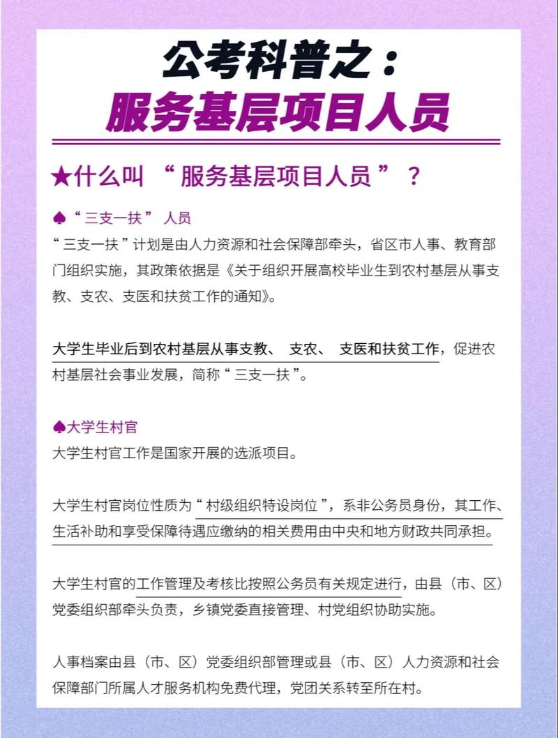 基层服务项目都蕴含什么