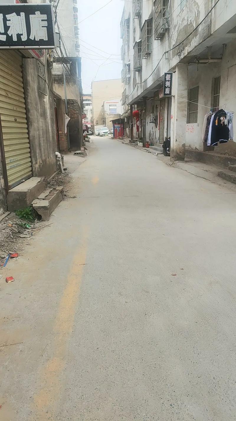 张庄幼胡同几点出来