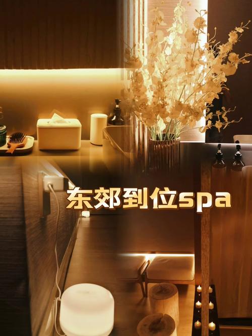 东郊到家法度spa蕴含什么服务