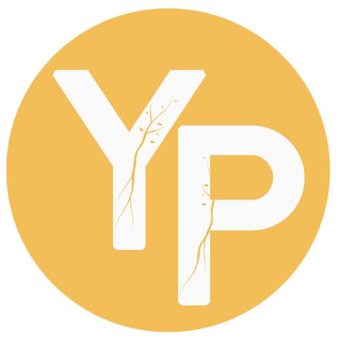 图标是YP的网站