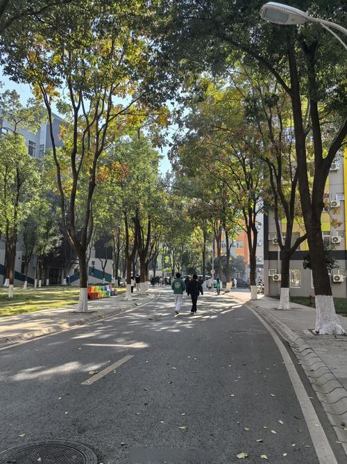 武汉传媒学院饼子一条街