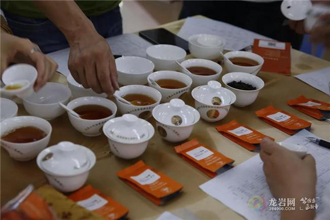 龙岩嫩茶资源