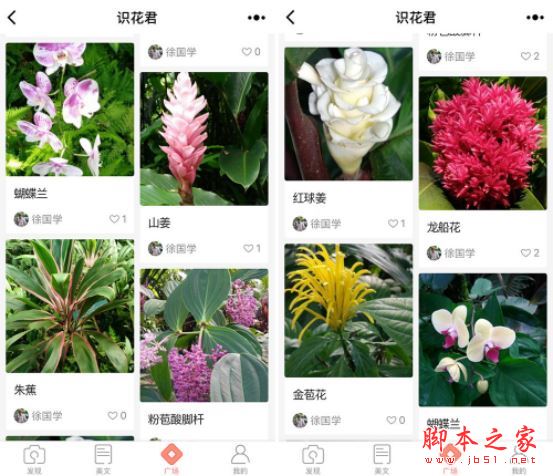 寻花信息测评论坛