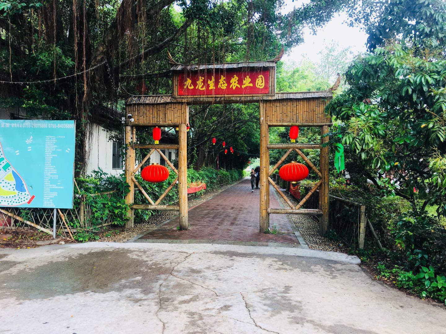 秀山鸡窝推拿店地址在哪里