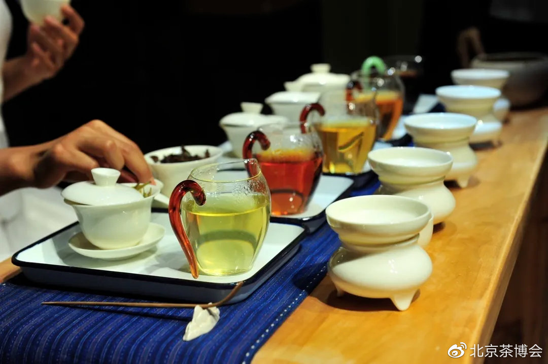 全国空降品茶spp