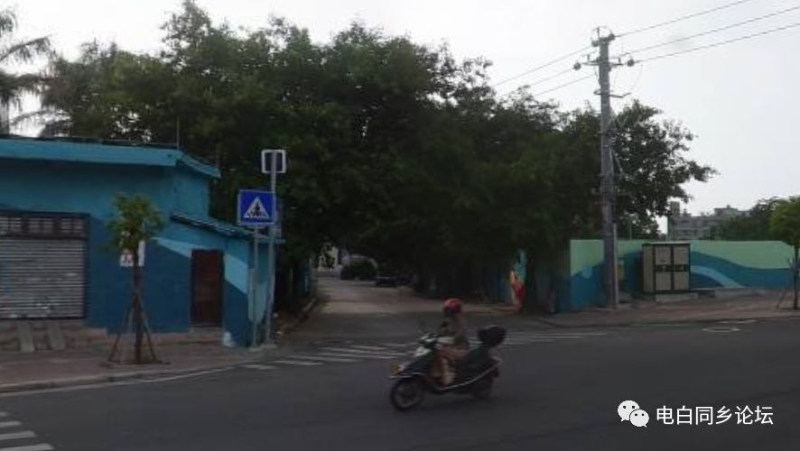 电白哪里有站街的