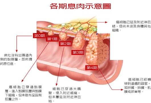 吉林性息