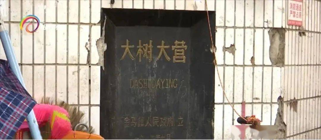 大树营的孃孃在哪里