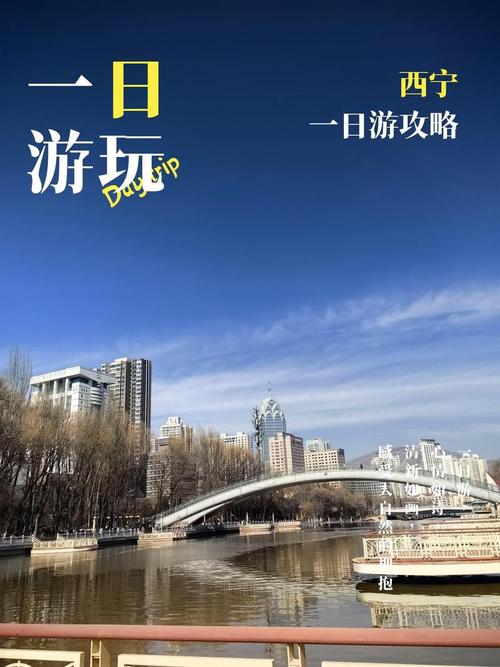 西宁六一桥沈新巷2026