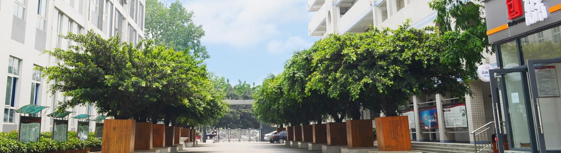 广州百花楼论坛入口