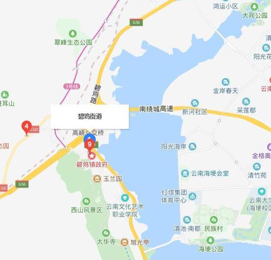 大朗鸡街在哪个地位