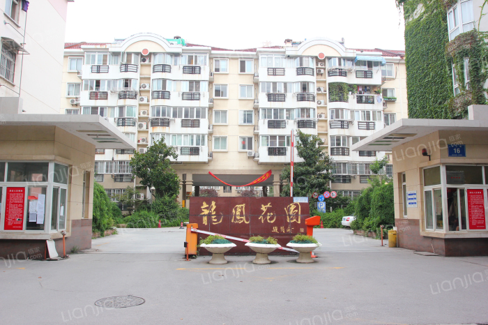 漯河龙凤花圃