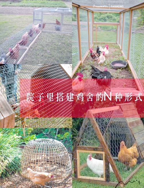 宜宾鸡窝最闻名三个处所