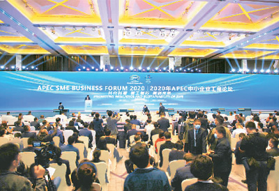 丽江多神网论坛官网