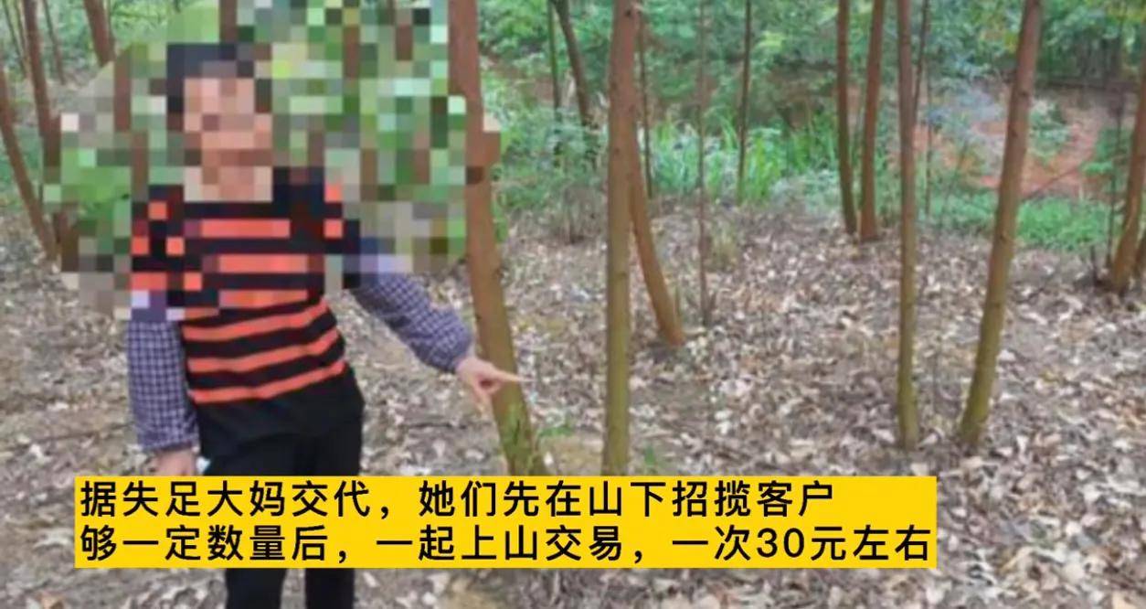 幼树村人老人买卖