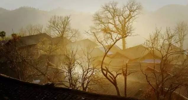 黄岛哪个村有卖婬