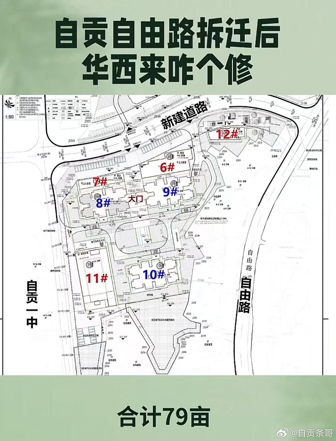 自贡最新逮猫小路2026