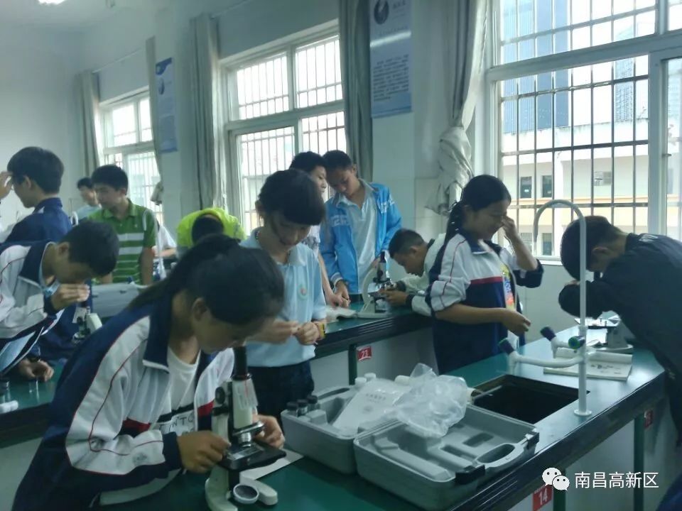 资阳瑶湖学生服务