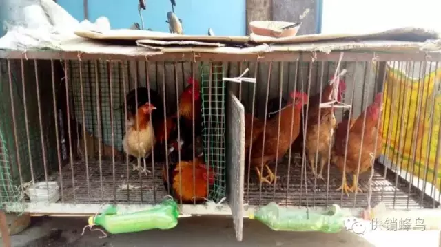 襄阳鸡窝最闻名三个处所
